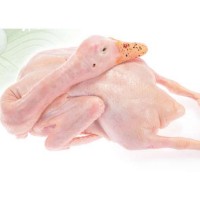 綠源食品麻鴨、老鴨